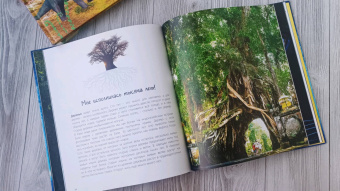 Мак Гагельдонк: Посмотри, как я могу! Чудеса животного мира