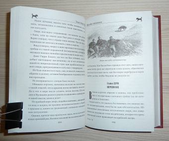 Рид Майн: Пиратский остров. Молодые невольники