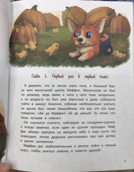 Мария Шаталова: Самый необычный в классе