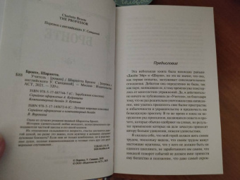 Шарлотта Бронте: Учитель