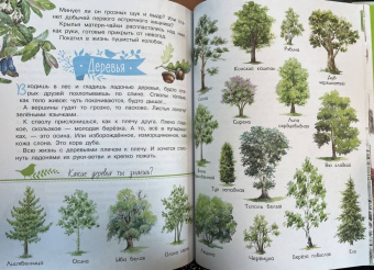 Николай Сладков: Лесные сказки