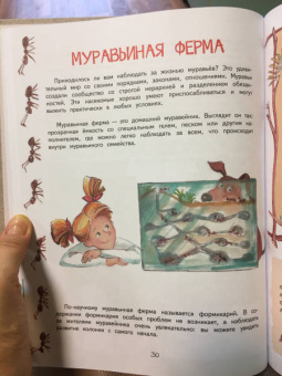 Елена Цезарь: Как это устроено