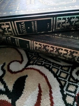 Александр Дюма: Ожерелье королевы. Том 1