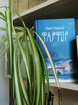 Юрий Каракур: Фарфор