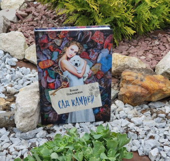 Влада Ольховская: Сад камней