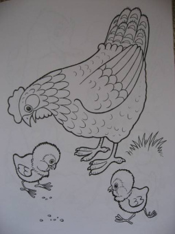 Татьяна Коваль: Домашние любимцы