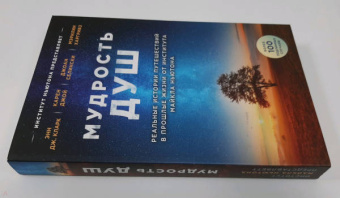Кларк, Джой, Селински: Мудрость душ. Реальные истории путешествий в прошлые жизни от Института Майкла Ньютона