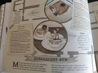 Секретная жизнь фей