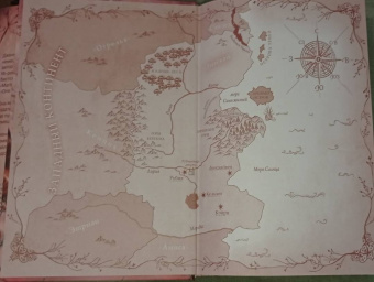 Дженнифер Бенкау: Одна истинная королева. Книга 2. Созданная из тени