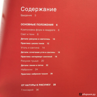 Давид Санмигель: Техника рисунка. Экспресс-курс