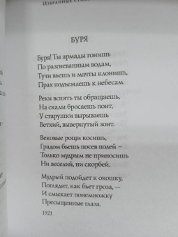 Владислав Ходасевич: Стихотворения