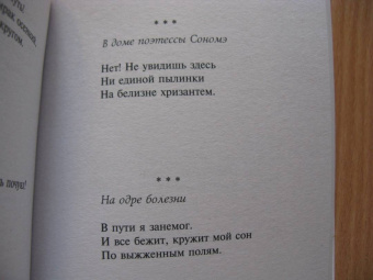 Мацуо Басё: Во тьме безлунной ночи