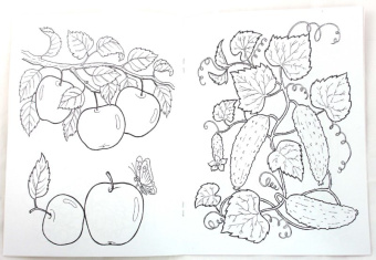 Что растет в саду