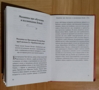 Ирина Булгакова: Домашние молитвы. На все случаи жизни