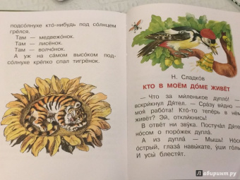 Сладков, Заходер, Гаршин: Лягушка-путешественница и другие сказки о животных