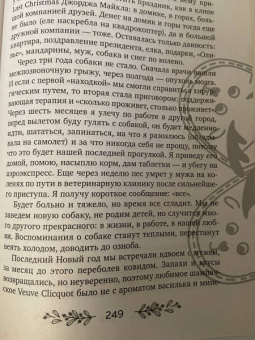 Савельева, Майорова, Бауэр: Выше уровня снега. 22 зимние истории, которые согревают