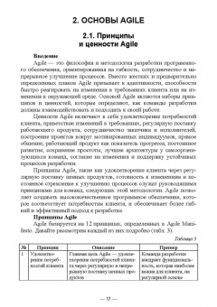 Антон Баланов: Внедрение методологий в IT. Agile, Scrum и другие. Учебное пособие для вузов