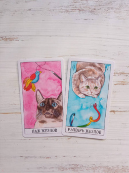 Котт Линн: Cat Tarot. Таро Котиков, 78 карт и руководство в подарочном футляре