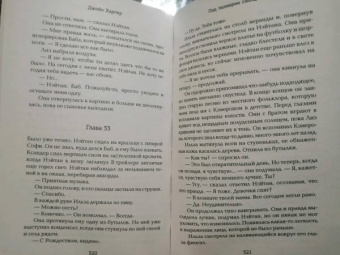 Джейн Харпер: Под палящим солнцем