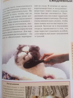 Доминик Кизельбах: Персидская кошка. Содержание и уход