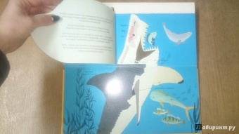 Боманн, Дюпон: Животные снаружи и внутри