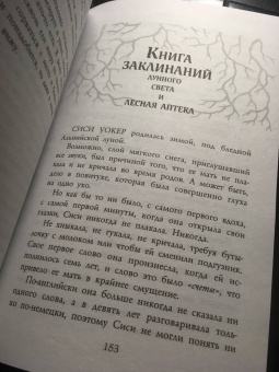 Ши Эрншоу: Зимняя Чаща