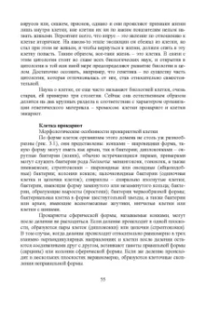 Брынцев, Коровин, Романовский: Введение в общую биологию. Теоретические вопросы и проблемы. Учебное пособие