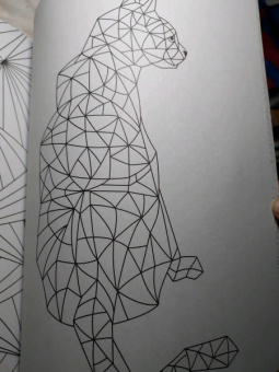 Раскраска-антистресс. Геометрические узоры