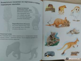 Атлас животных с наклейками