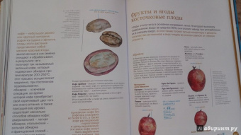 Пьер Эрме: Десерты (подарочное издание в коробе)