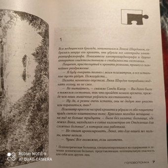 Франк Тилье: Головоломка