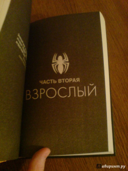 Стефан Петручо: Человек-Паук. Вечная юность