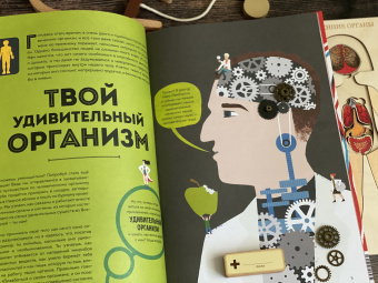 Макс Пембертон: Тело человека. Как работает наш удивительный организм