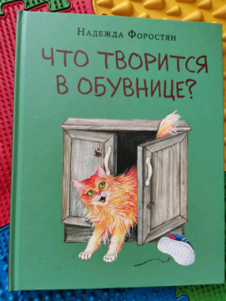 Надежда Форостян: Что творится в обувнице?