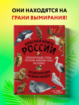 Дмитрий Лукашанец: Красная книга России:  животные, растения, птицы, насекомые