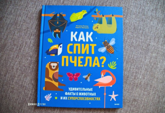 Пинтос, Ианнуззи: Как спит пчела? Удивительные факты о животных и их суперспособностях