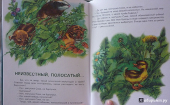 Валерий Кастрючин: Сказки Чудо-дерева