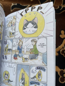 Конами Каната: Милый дом Чи. Книга 8