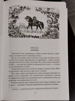 Рид Майн: Всадник без головы. Морской волчонок