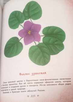 Наталия Немцова: Стражи леса. Сказки для почемучки