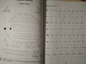 Татьяна Ушинская: Большая пропись-поддержка для детей, которым нелегко дается письмо