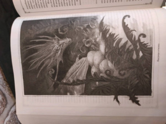 Мари Бреннан: Естественная история драконов. Омнибус