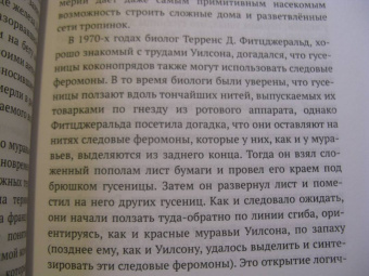 Роберт Мур: Следы и тропы. Путешествие по дорогам жизни