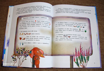 Кристина Кретова: Приключения мышонка Недо на Ладоге. Географические сказки