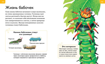 Роберт Коуп: Большая энциклопедия для любознательных