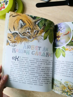 Виталий Танасийчук: Для чего коту усы?