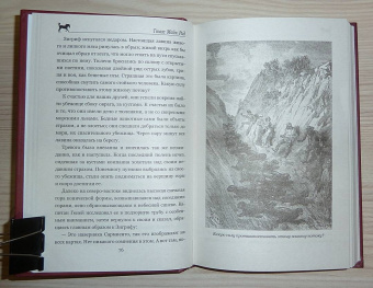 Рид Майн: Огненная Земля; Водяная пустыня, или Водою по лесу