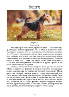 Дмитрий Тарнуев: Охотничьи собаки. Учебное пособие для СПО