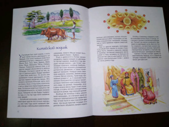 Маргарита Альбедиль: История времени