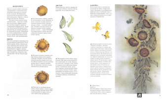 Джейн Эванс: Китайская тушь